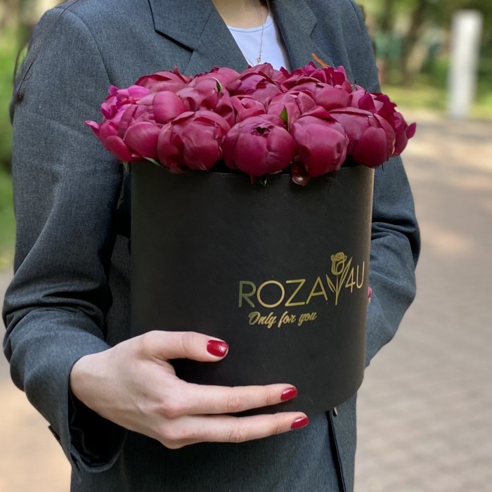 25 пионов Канзас в коробке